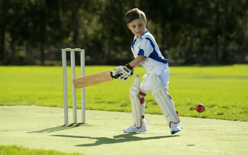 Fantasy Cricket