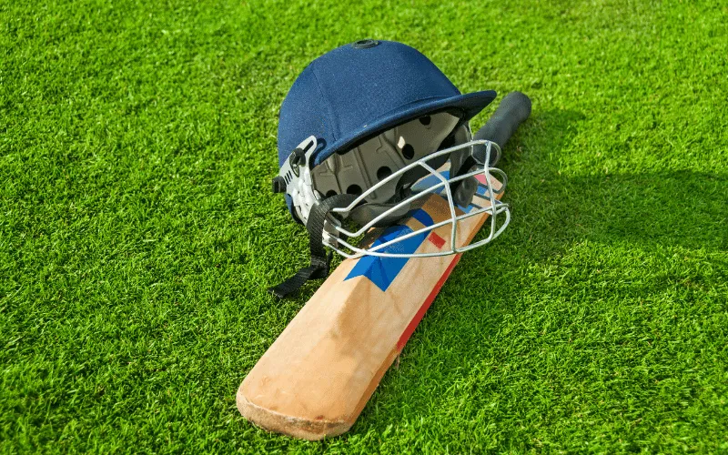 Fantasy Cricket